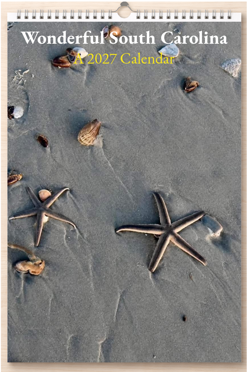 Wonderful South Carolina: A 2027 Calendar
