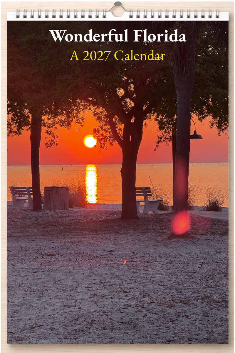 Wonderful Florida: A 2027 Calendar