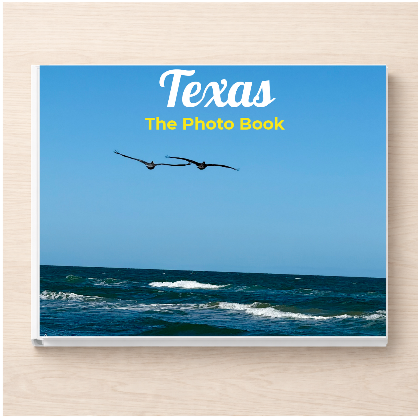 Texas: The Photo Book