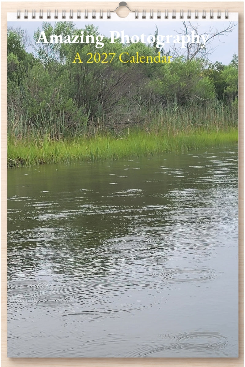Amazing Photography: A 2027 Calendar