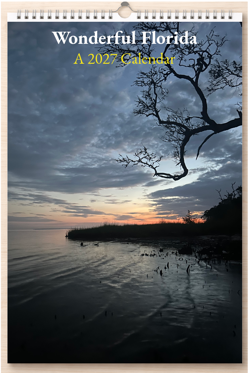 Wonderful Florida: A 2027 Calendar
