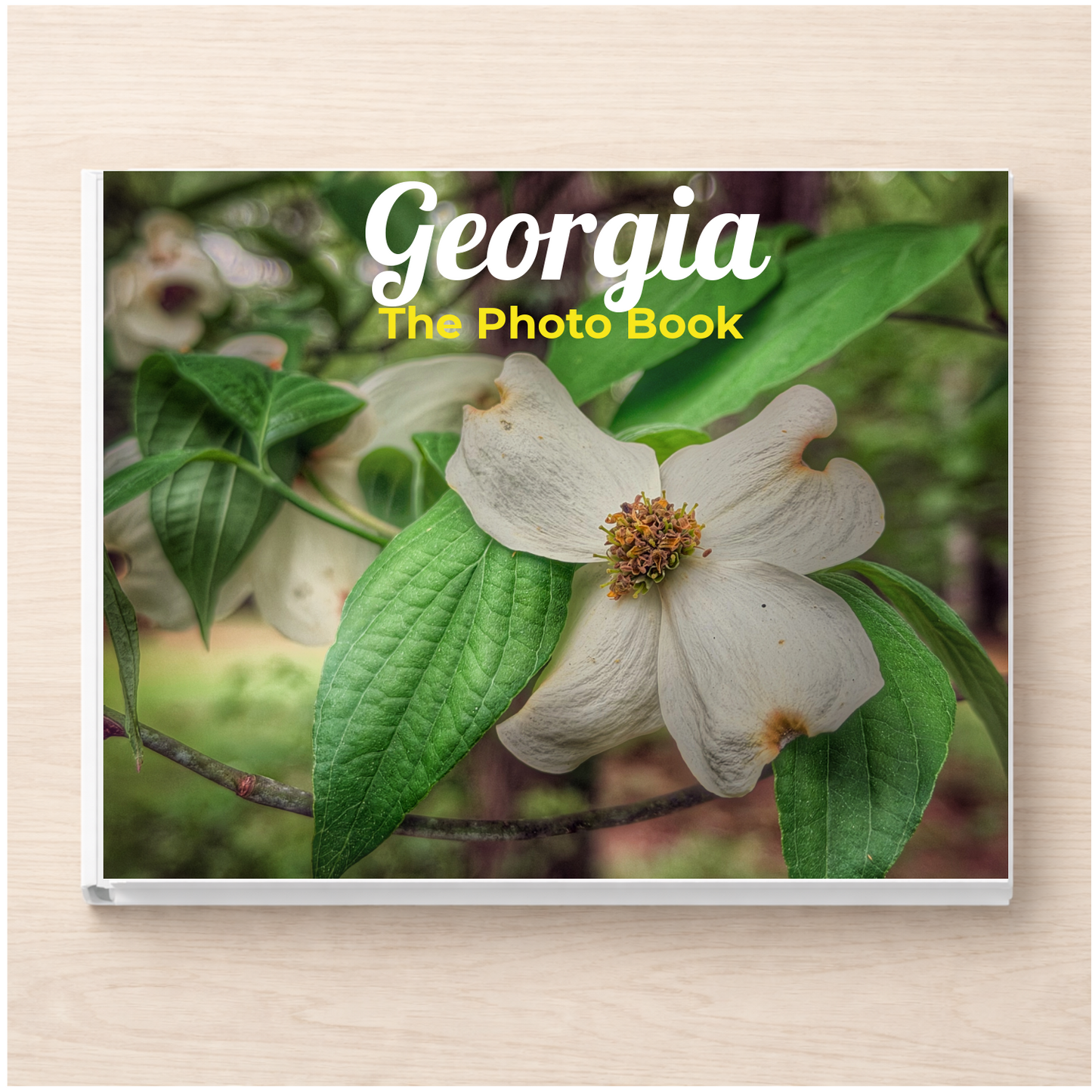 Georgia: The Photo Book