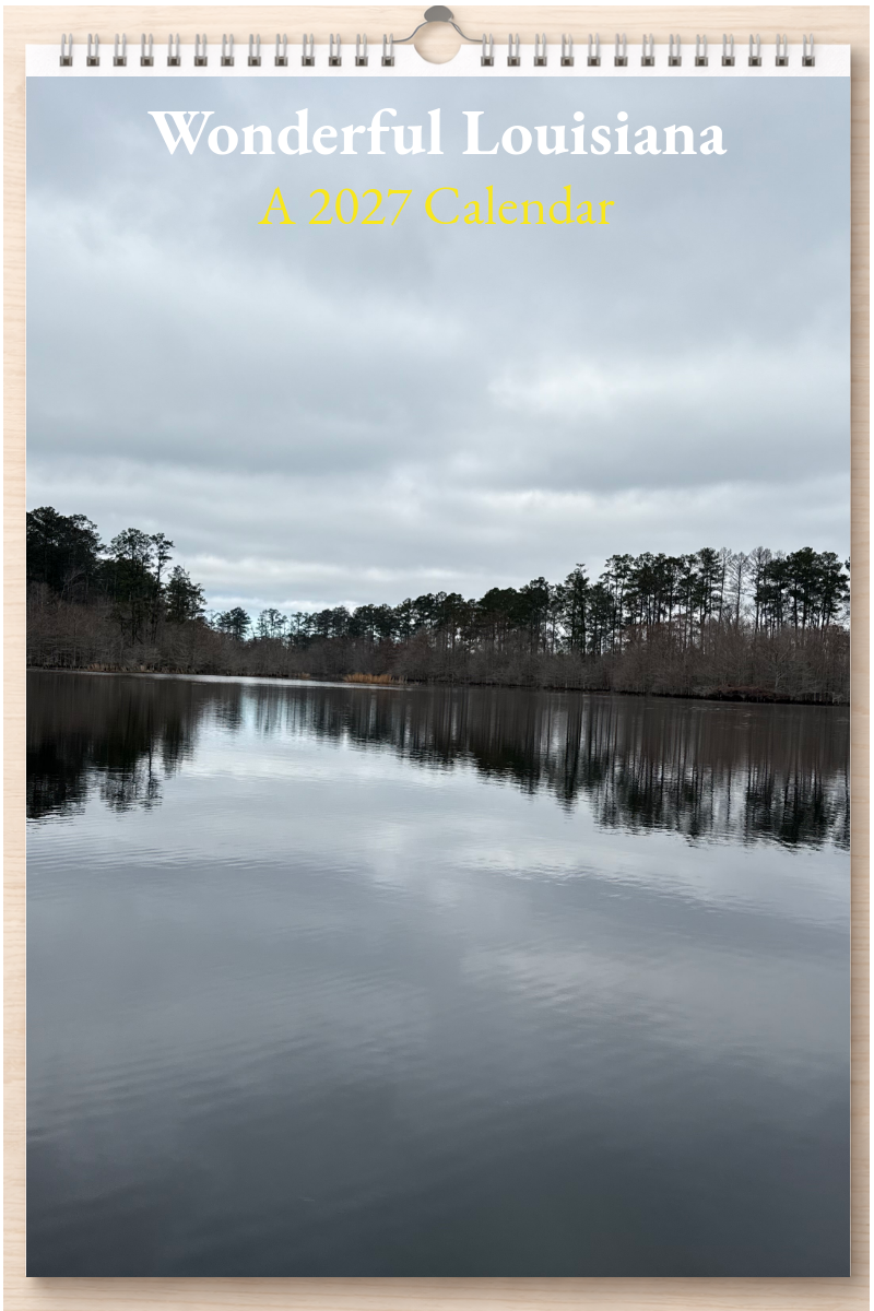 Wonderful Louisiana: A 2027 Calendar