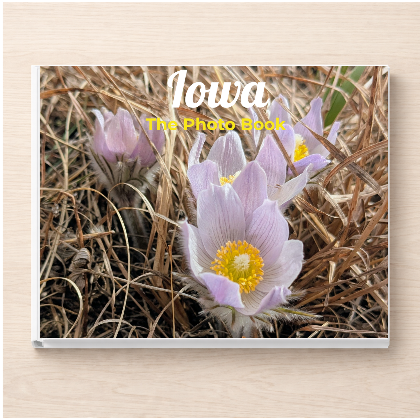 Iowa: The Photo Book