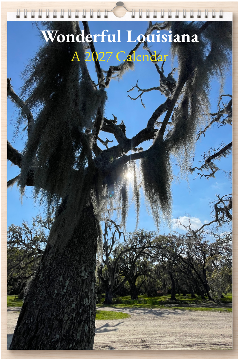 Wonderful Louisiana: A 2027 Calendar