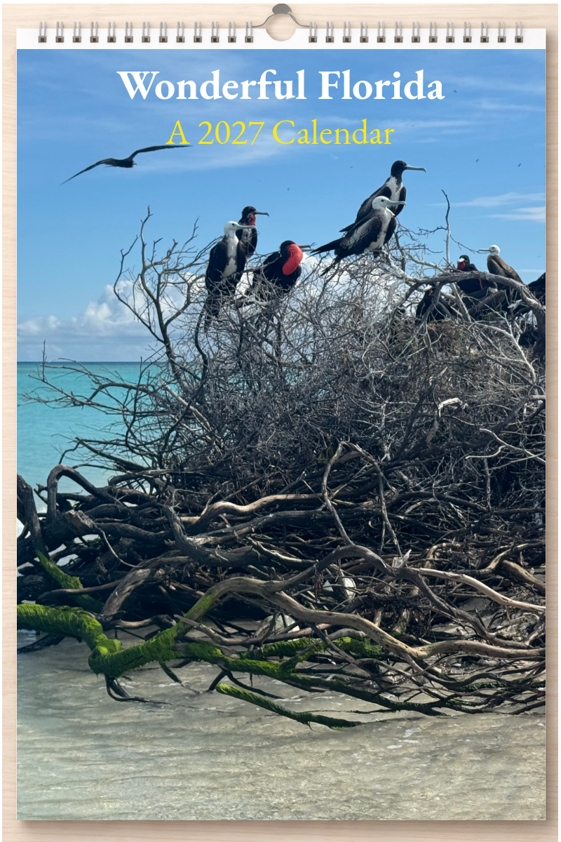 Wonderful Florida: A 2027 Calendar