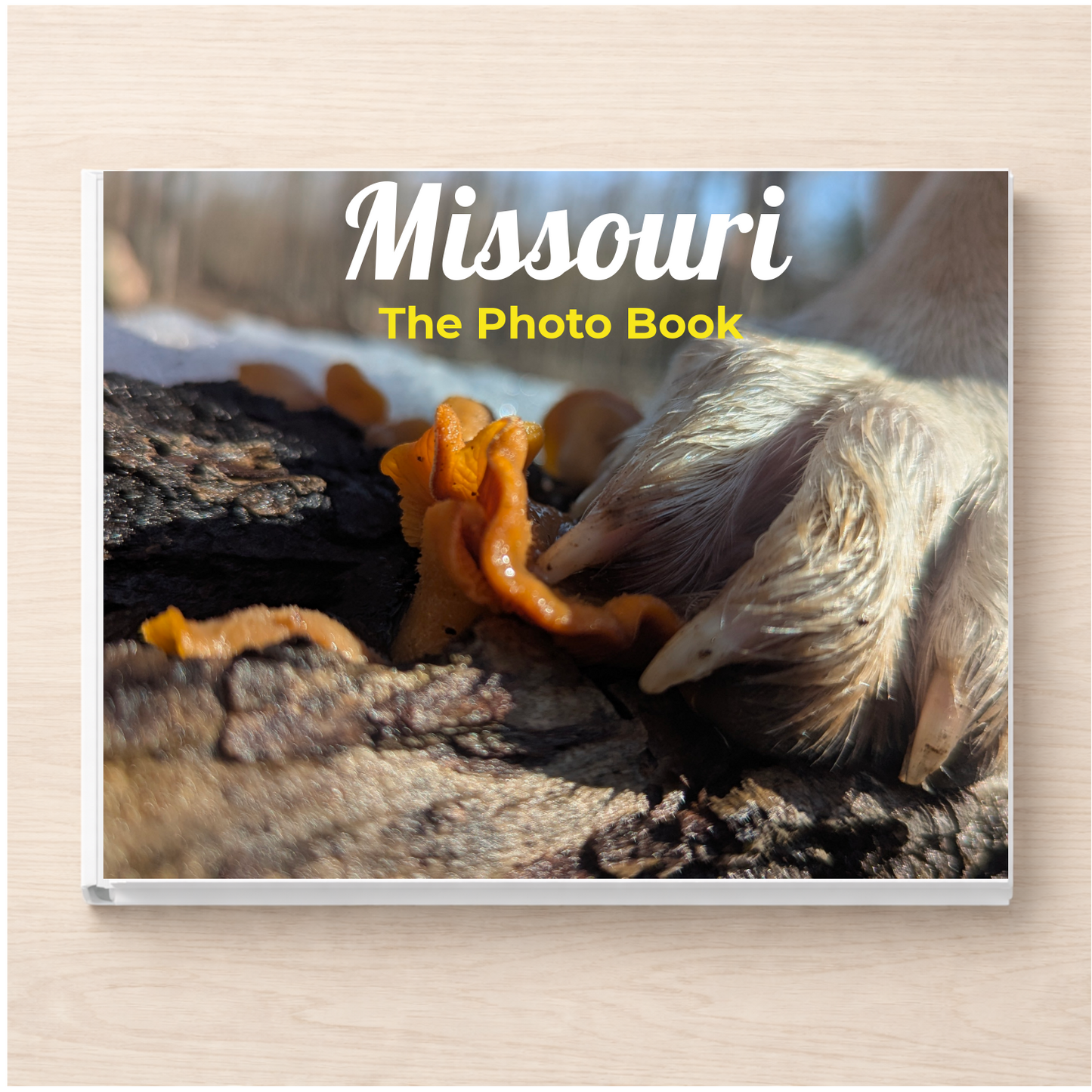 Missouri: The Photo Book