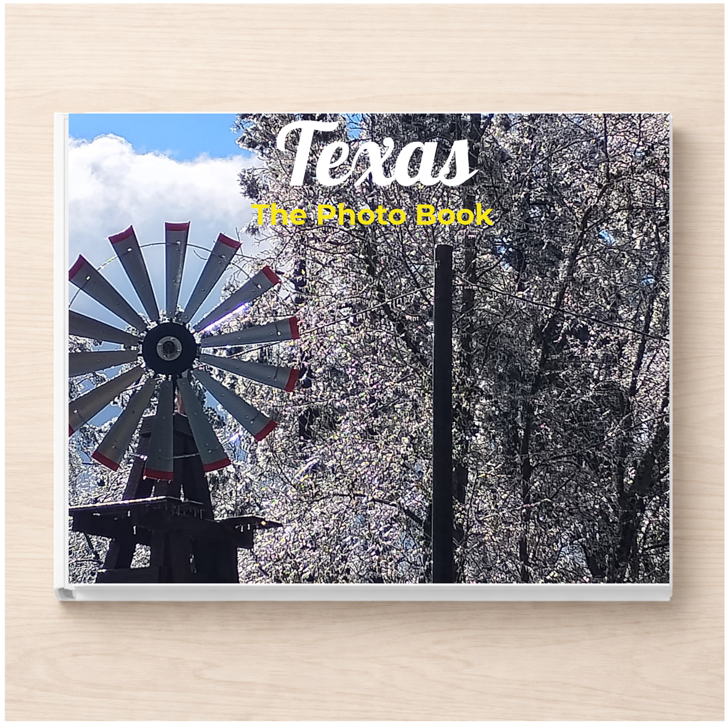 Texas: The Photo Book