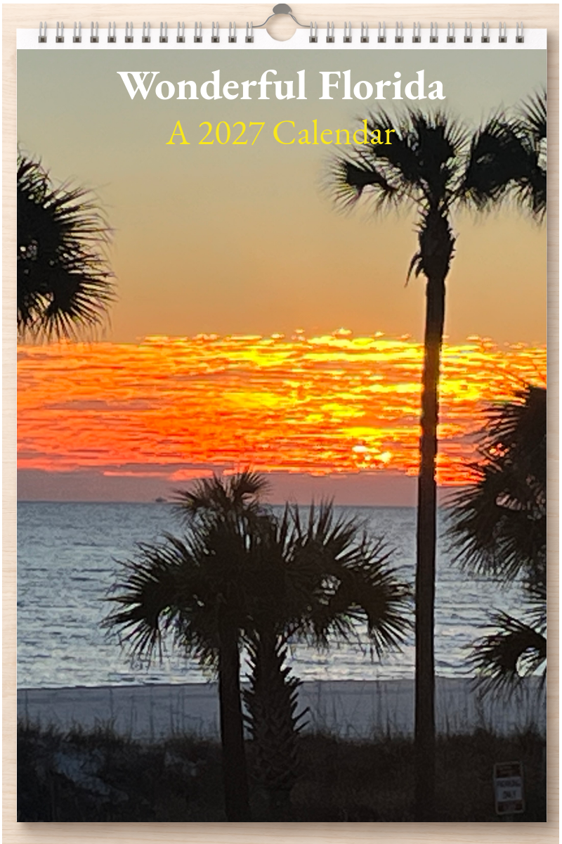 Wonderful Florida: A 2027 Calendar