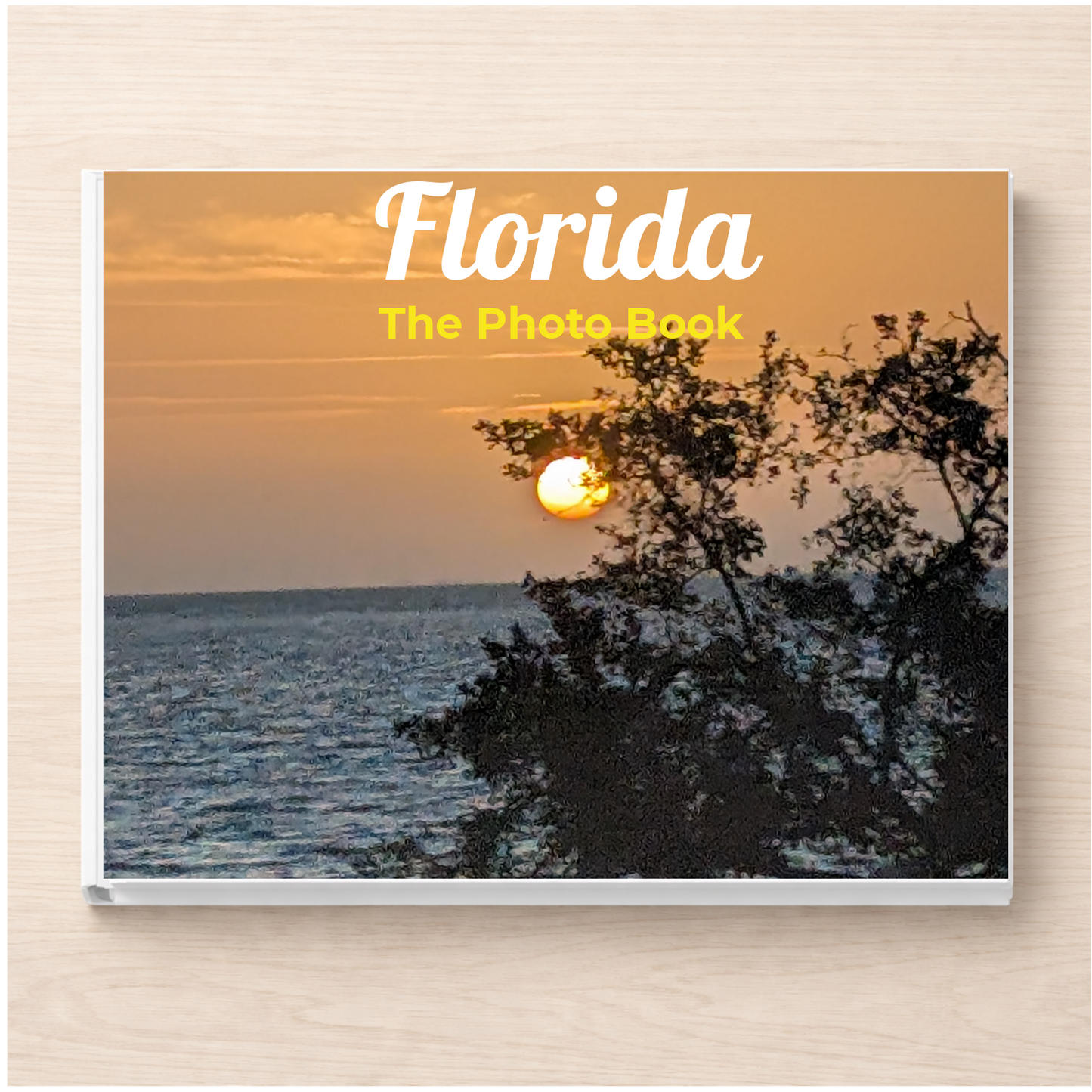 Florida: The Photo Book