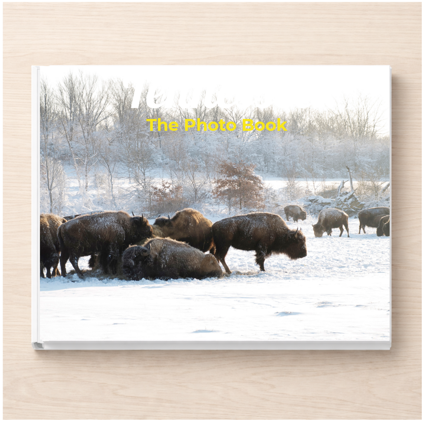 Tennessee: The Photo Book