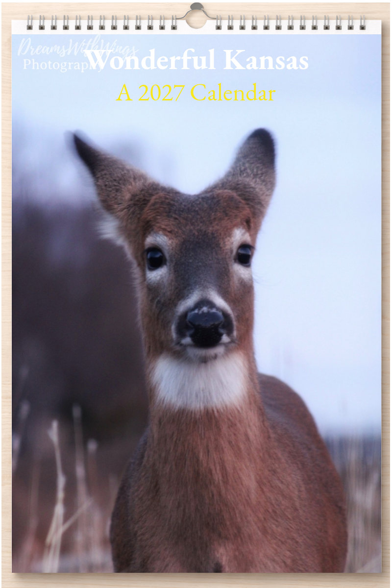 Wonderful Kansas: A 2027 Calendar