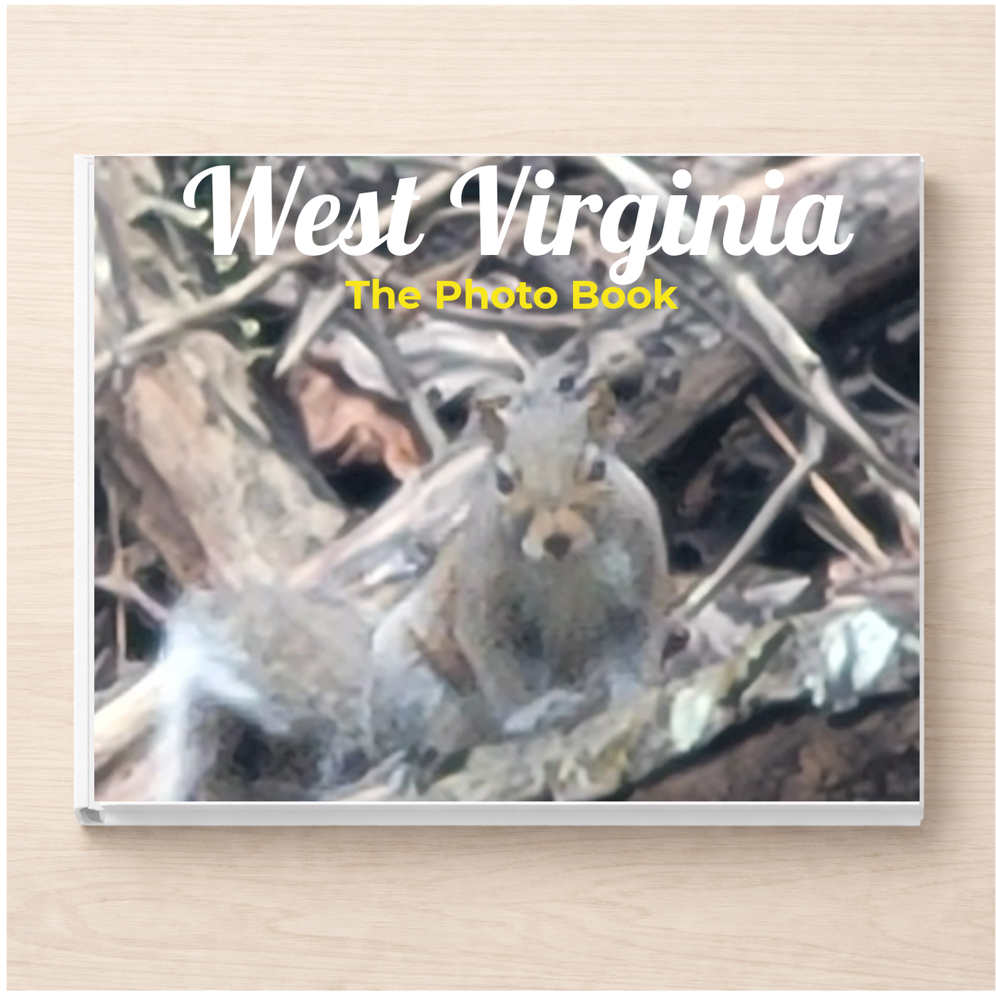 West Virginia: The Photo Book