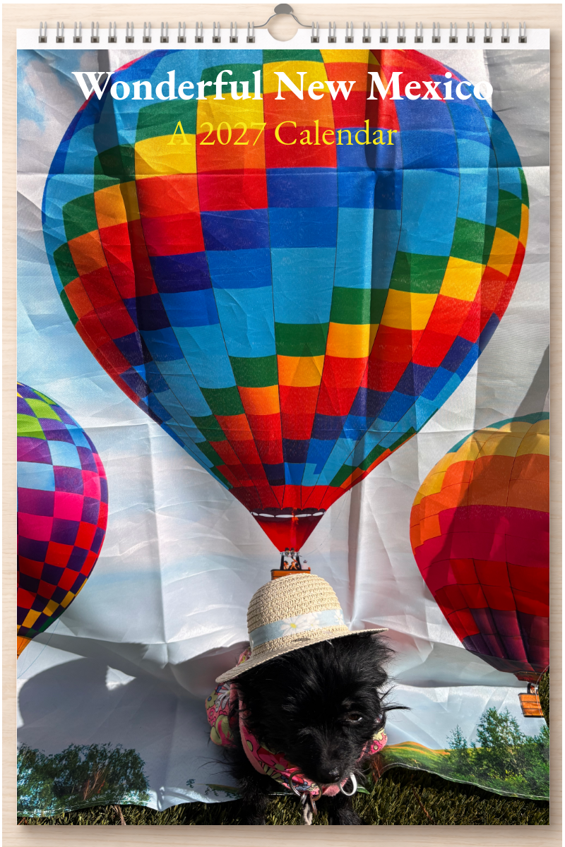 Wonderful New Mexico: A 2027 Calendar
