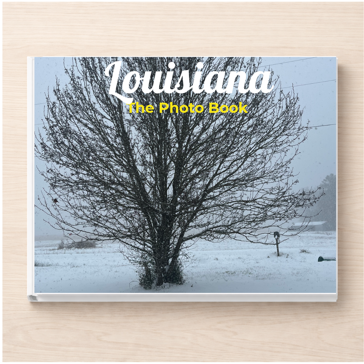 Louisiana: The Photo Book