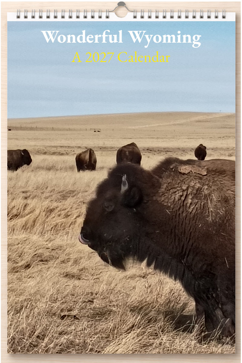 Wonderful Wyoming: A 2027 Calendar