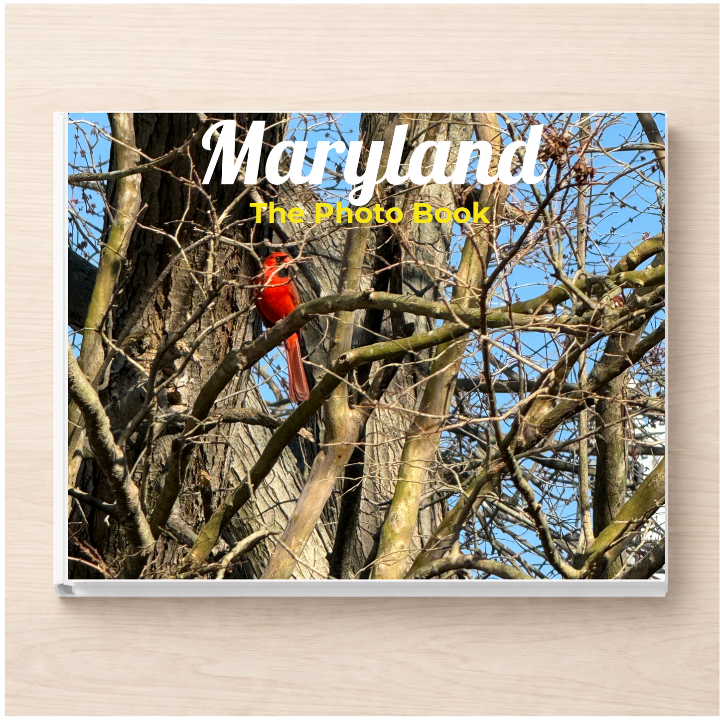 Maryland: The Photo Book
