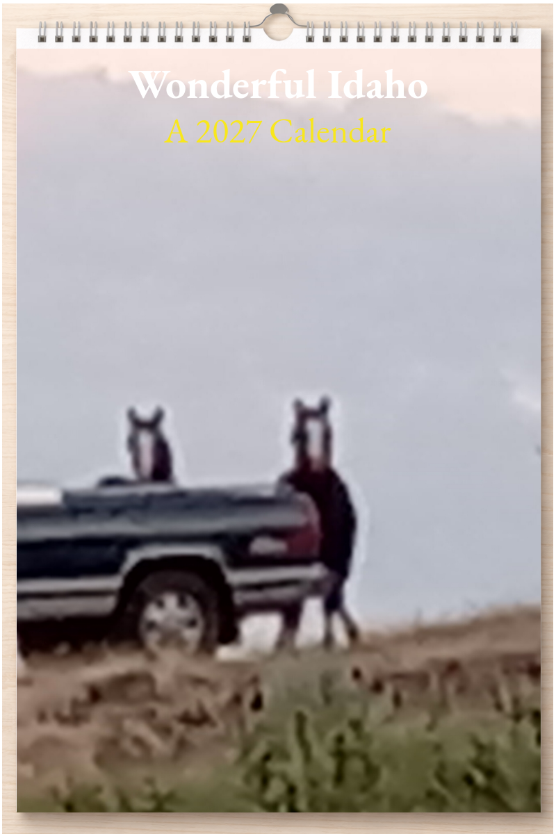 Wonderful Idaho: A 2027 Calendar