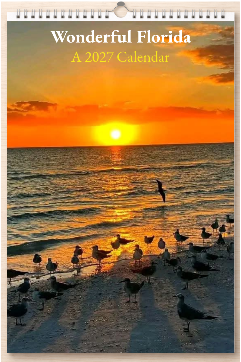 Wonderful Florida: A 2027 Calendar