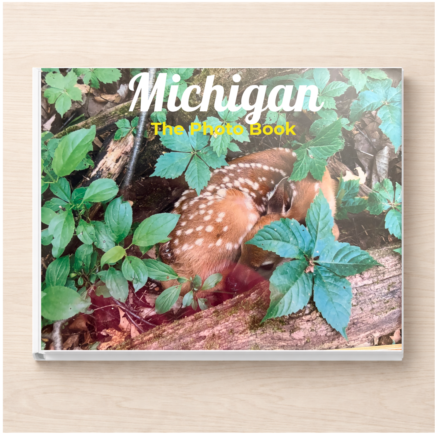 Michigan: The Photo Book