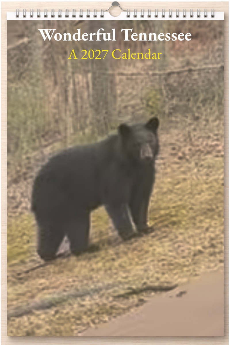 Wonderful Tennessee: A 2027 Calendar