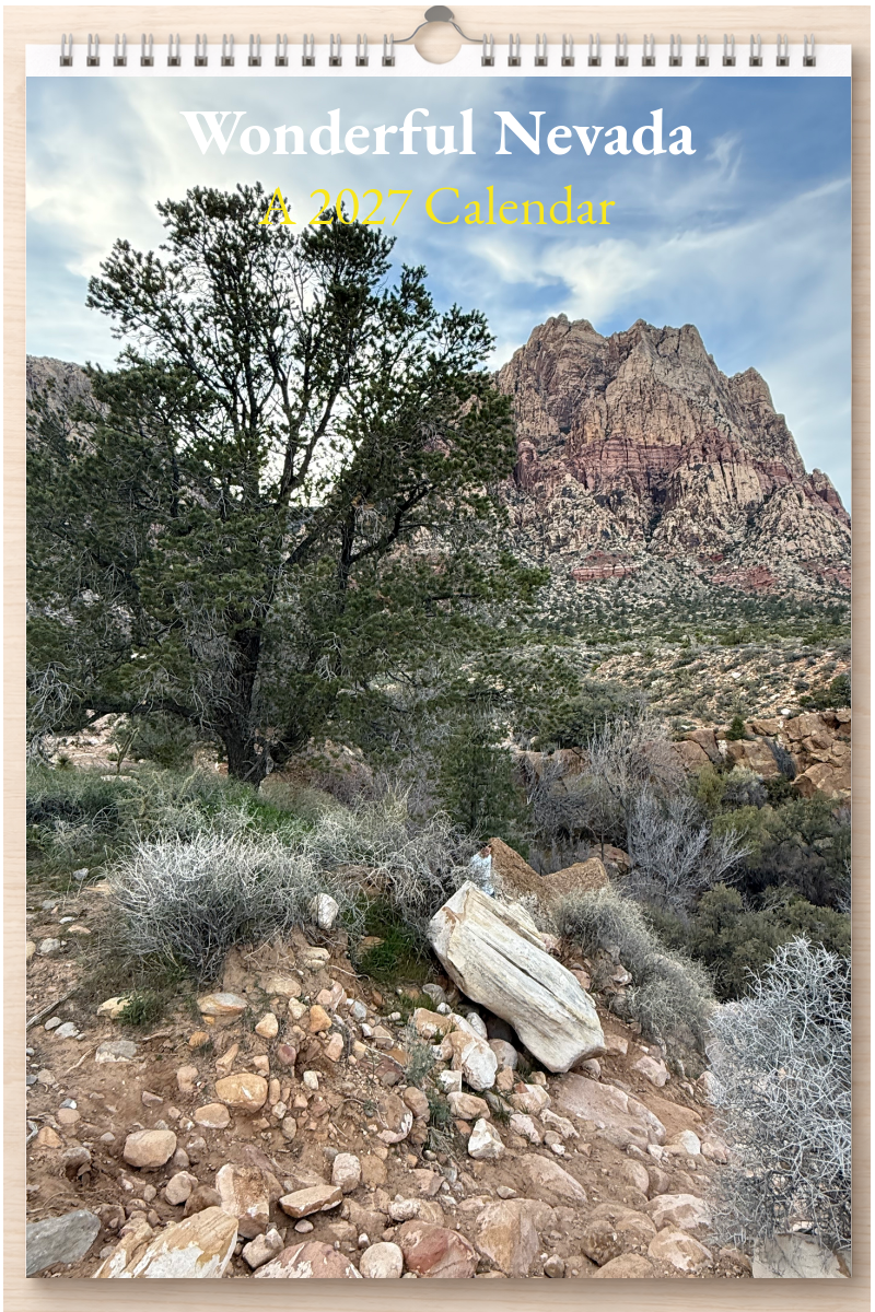 Wonderful Nevada: A 2027 Calendar