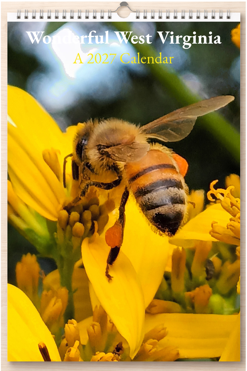Wonderful West Virginia: A 2027 Calendar