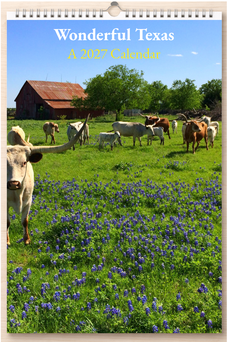 Wonderful Texas: A 2027 Calendar