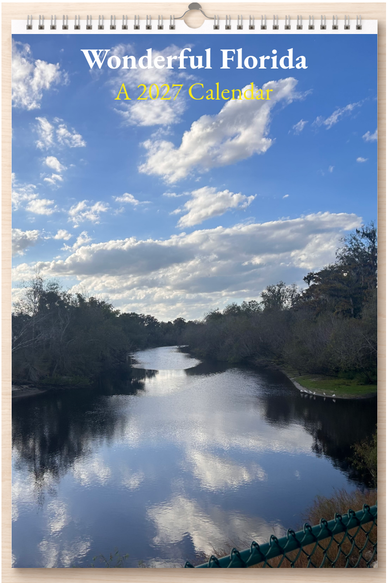 Wonderful Florida: A 2027 Calendar