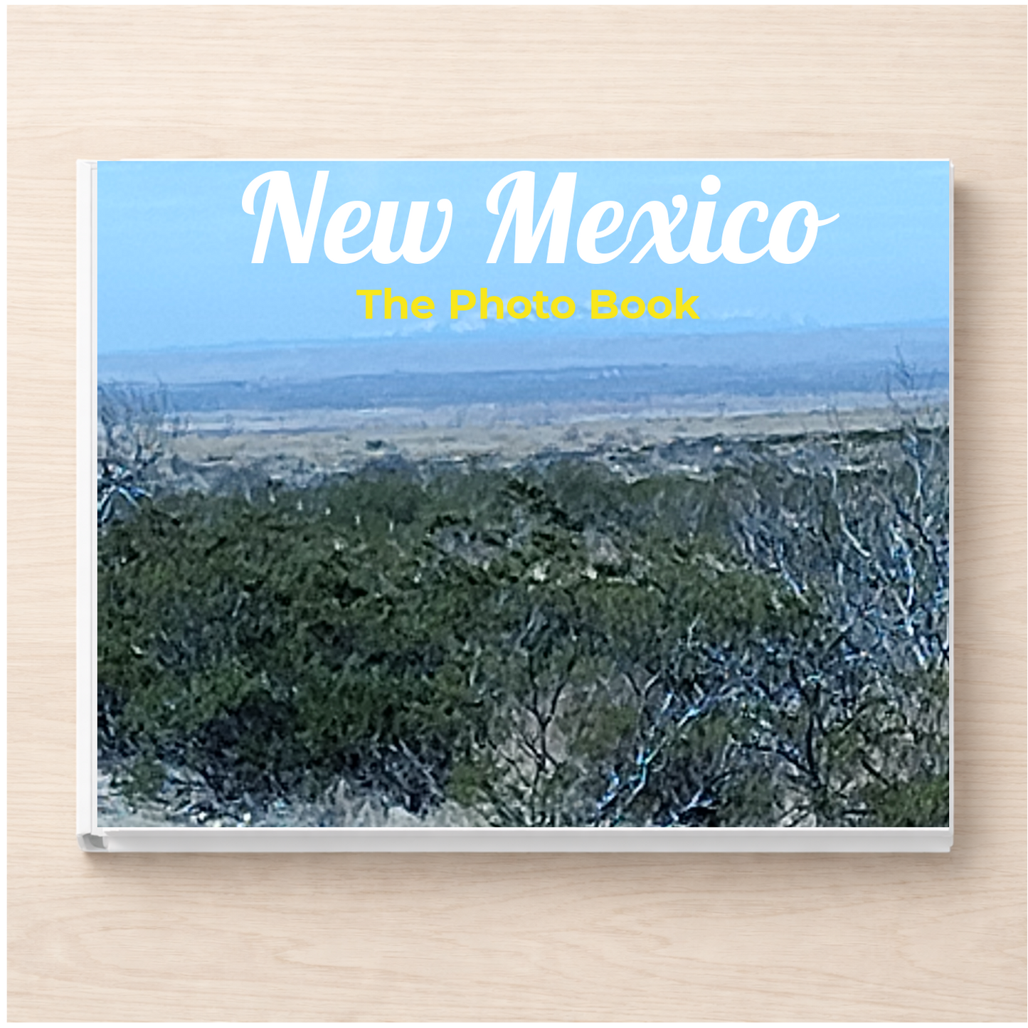 New Mexico: The Photo Book