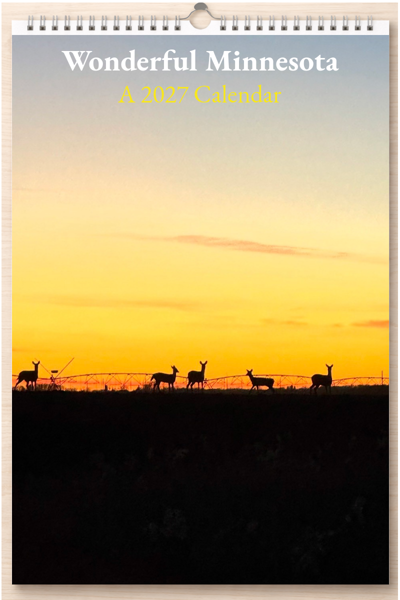 Wonderful Minnesota: A 2027 Calendar