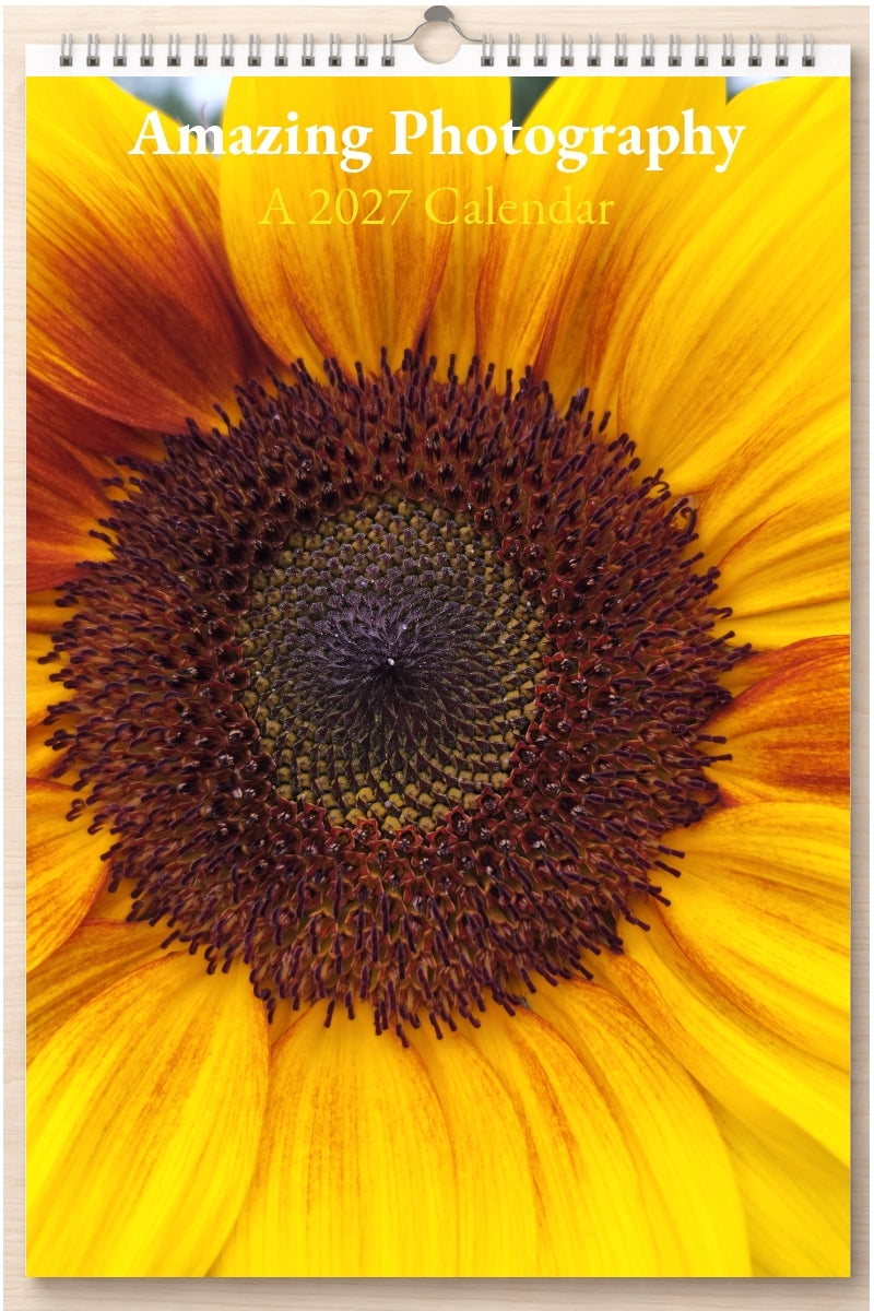 Amazing Photography: A 2027 Calendar