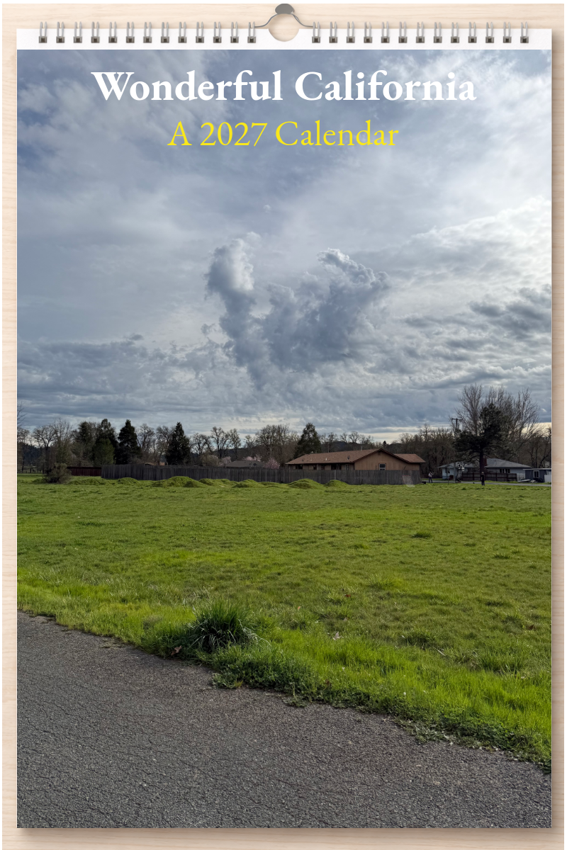 Wonderful California: A 2027 Calendar