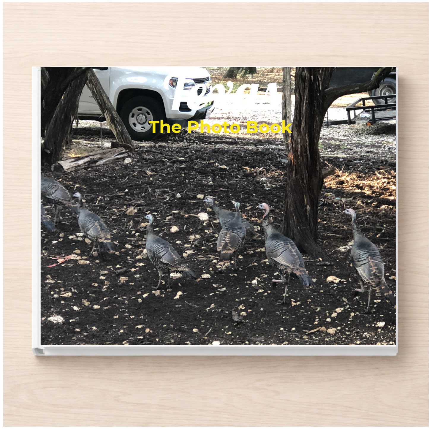 Texas: The Photo Book