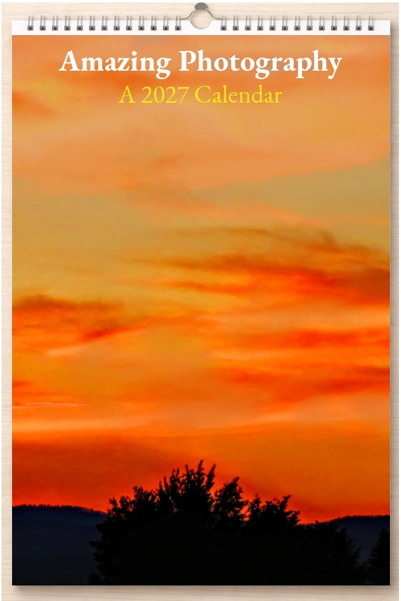 Amazing Photography: A 2027 Calendar
