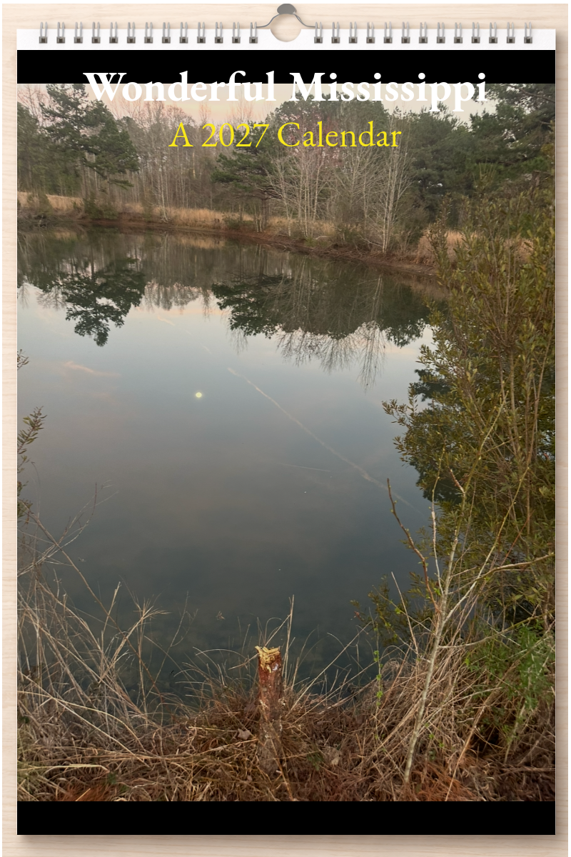 Wonderful Mississippi: A 2027 Calendar