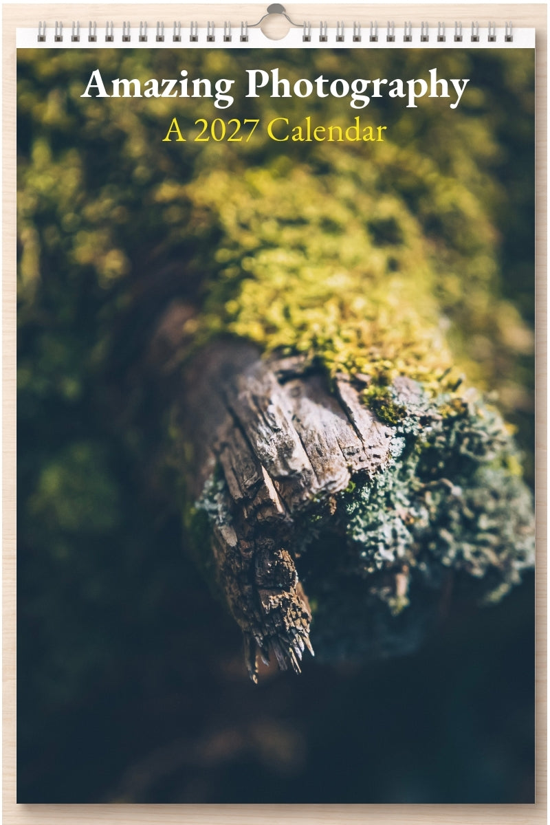 Amazing Photography: A 2027 Calendar