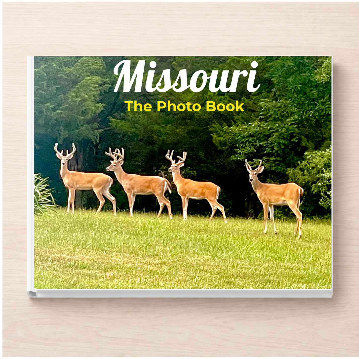 Missouri: The Photo Book