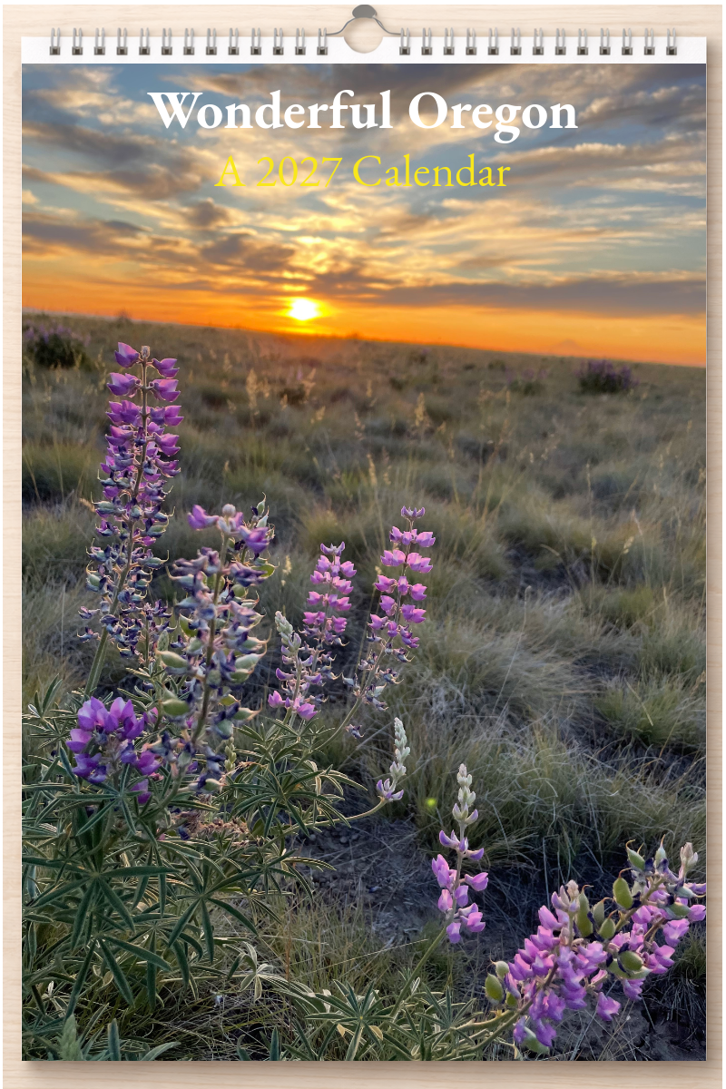 Wonderful Oregon: A 2027 Calendar