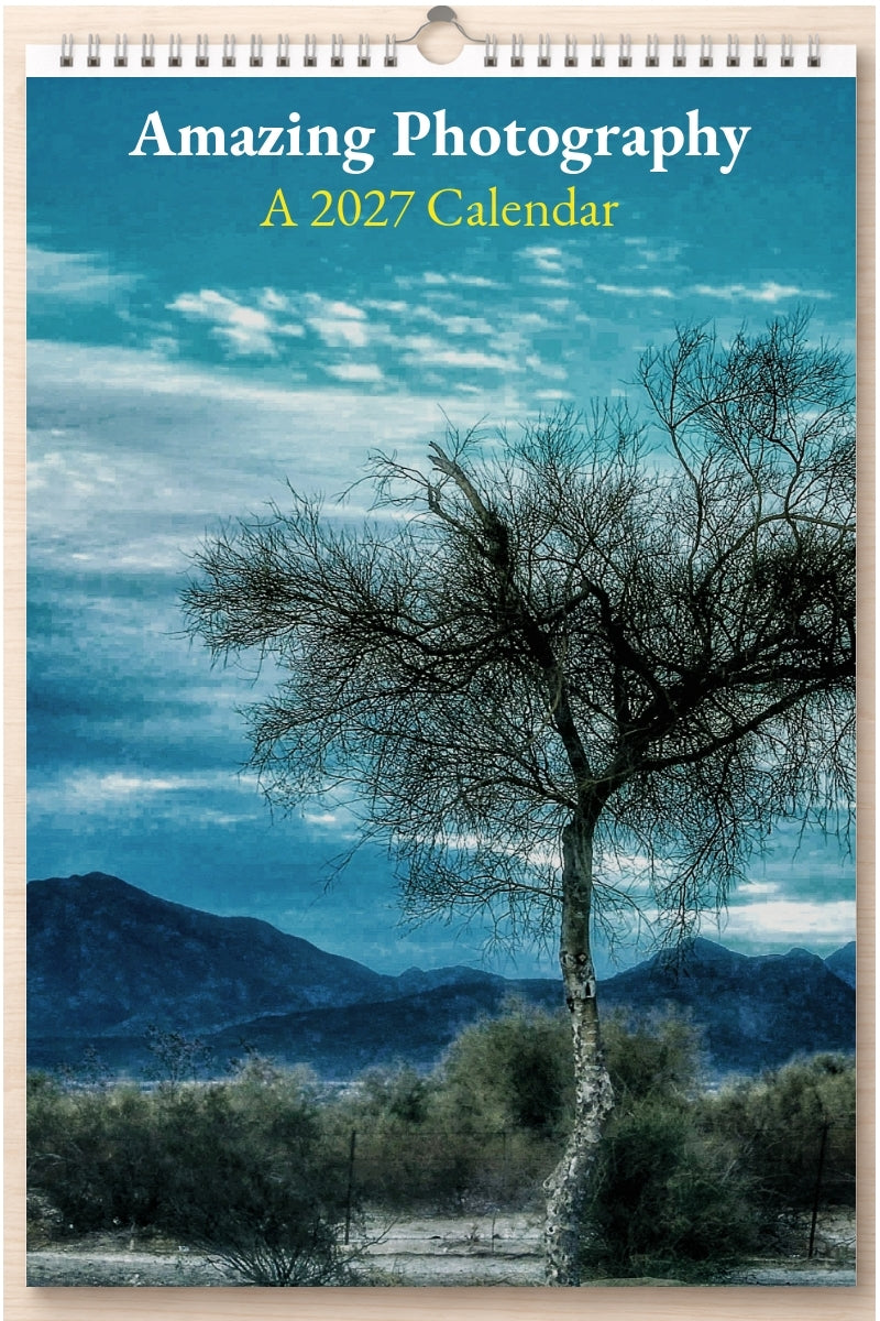 Amazing Photography: A 2027 Calendar