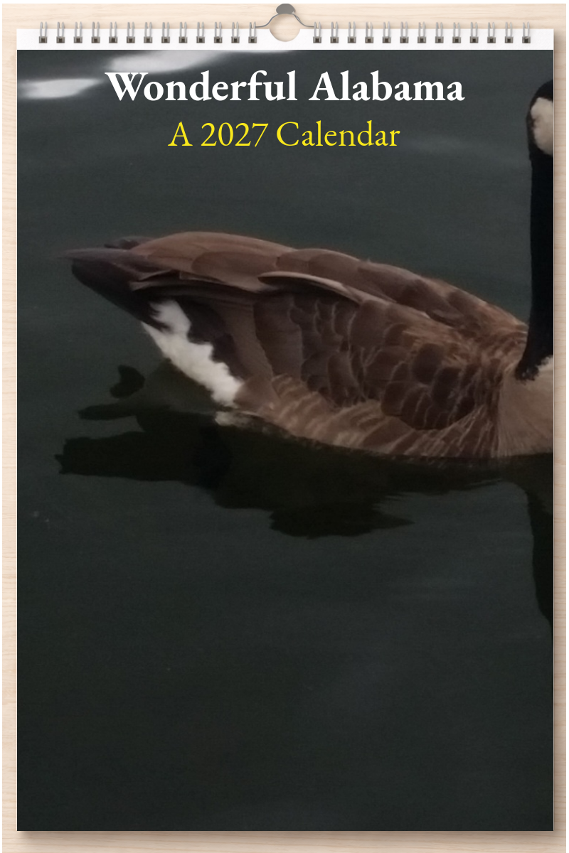 Wonderful Alabama: A 2027 Calendar