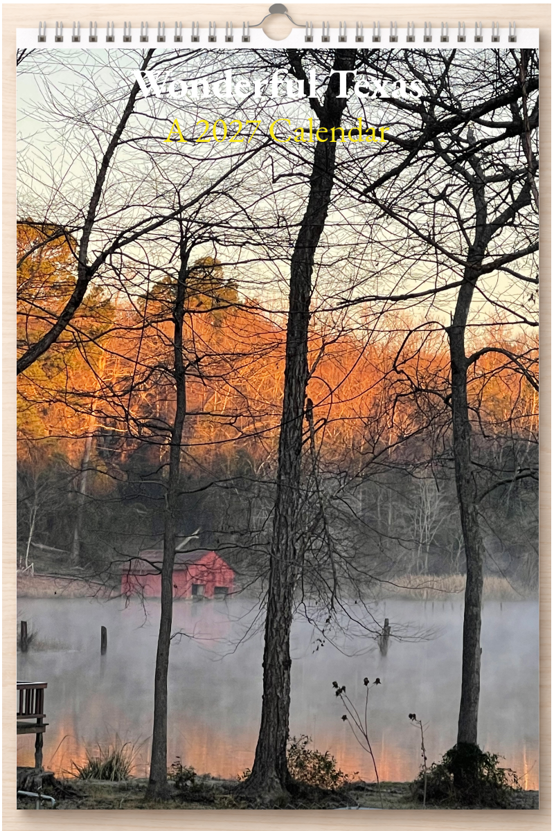 Wonderful Texas: A 2027 Calendar