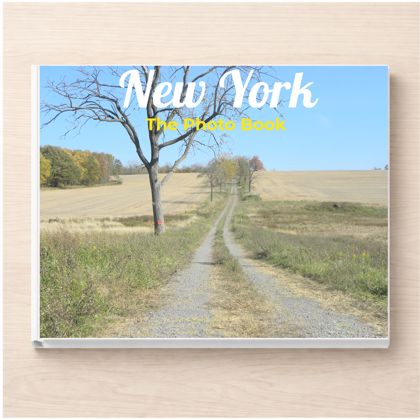 New York: The Photo Book