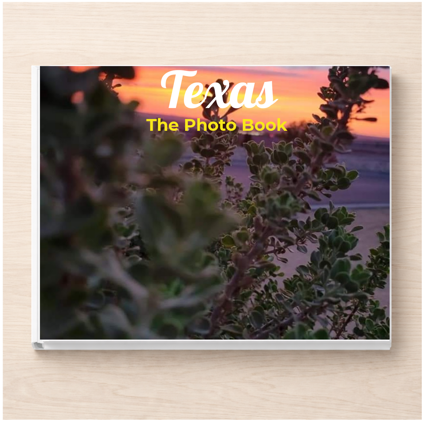 Texas: The Photo Book