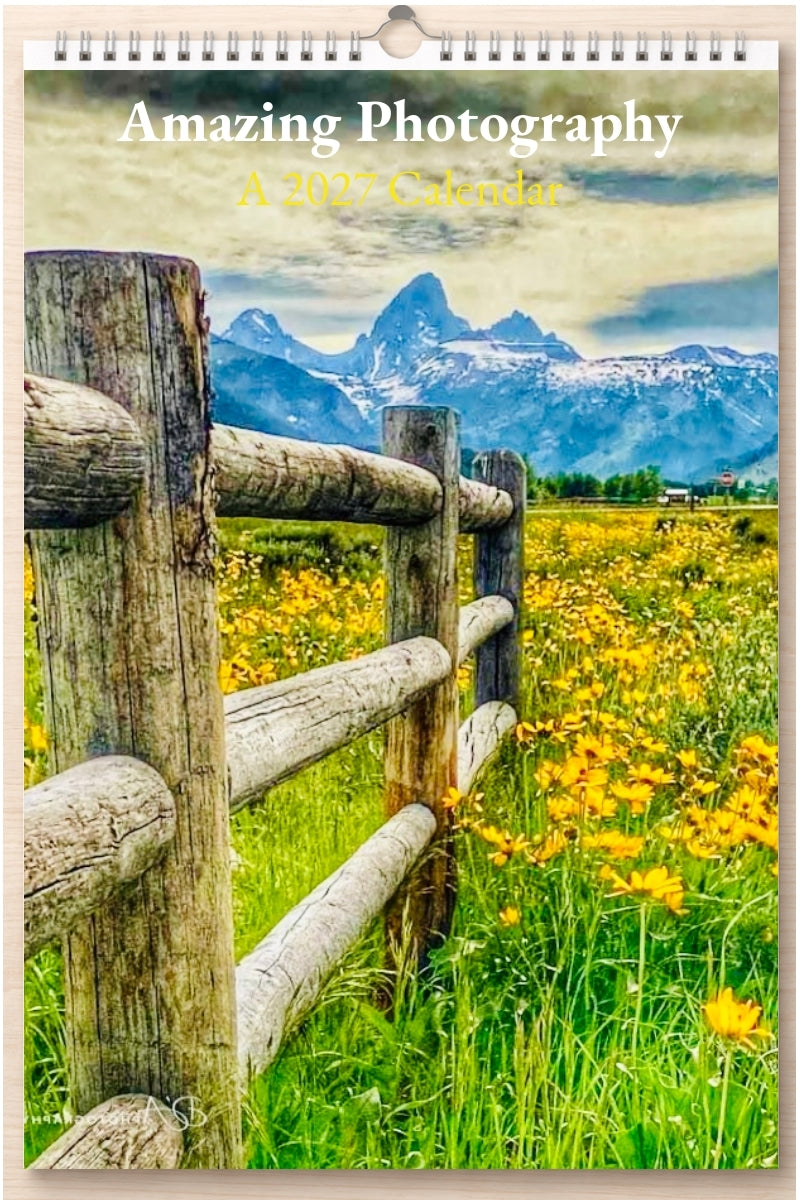 Amazing Photography: A 2027 Calendar
