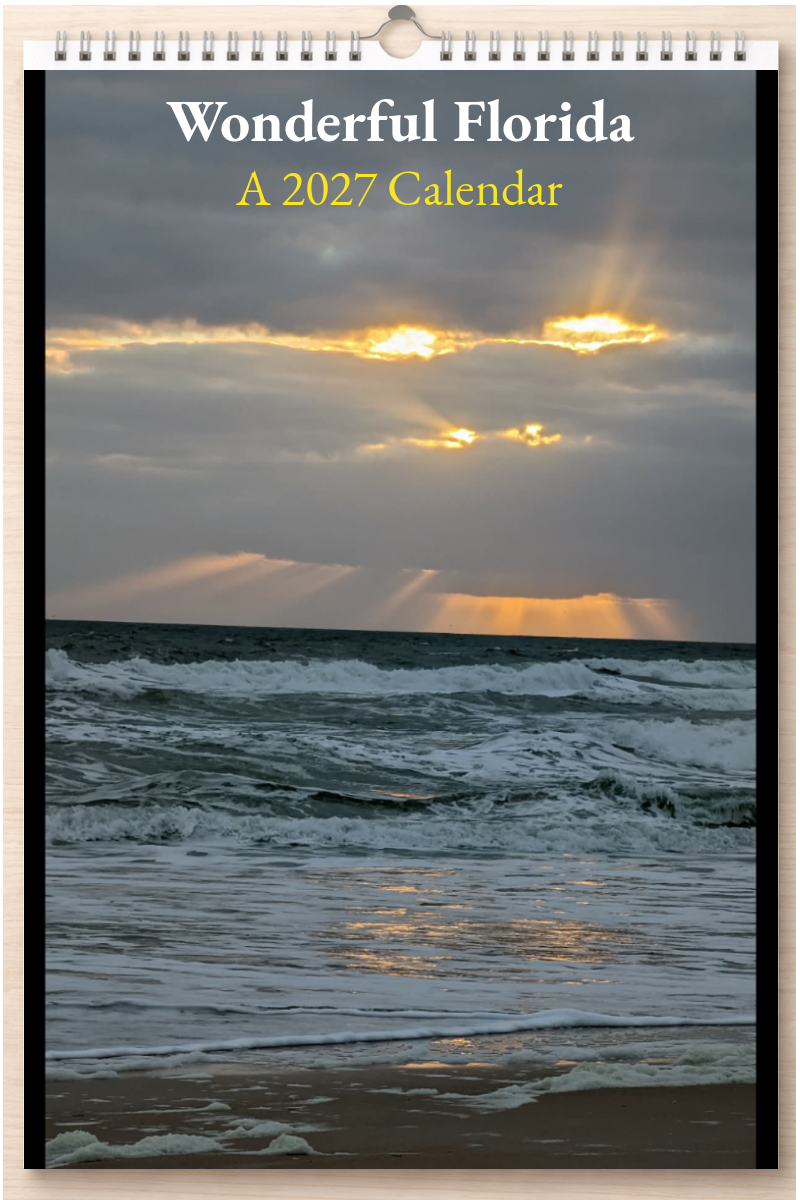 Wonderful Florida: A 2027 Calendar