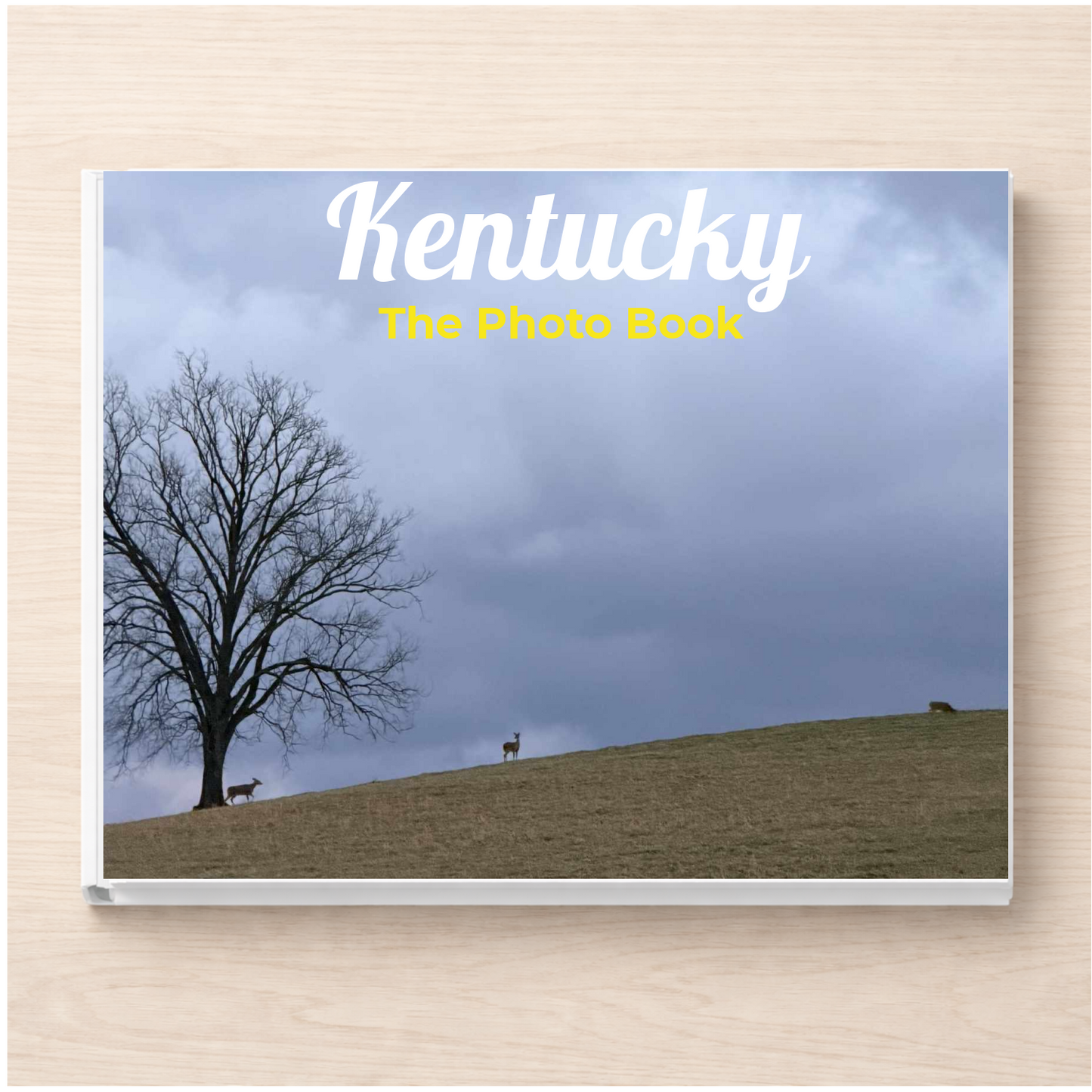 Kentucky: The Photo Book