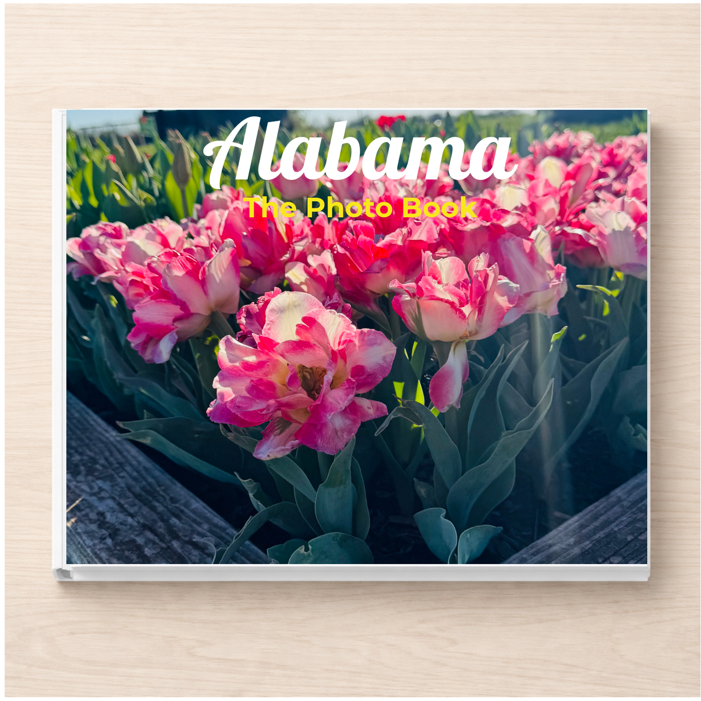 Alabama: The Photo Book