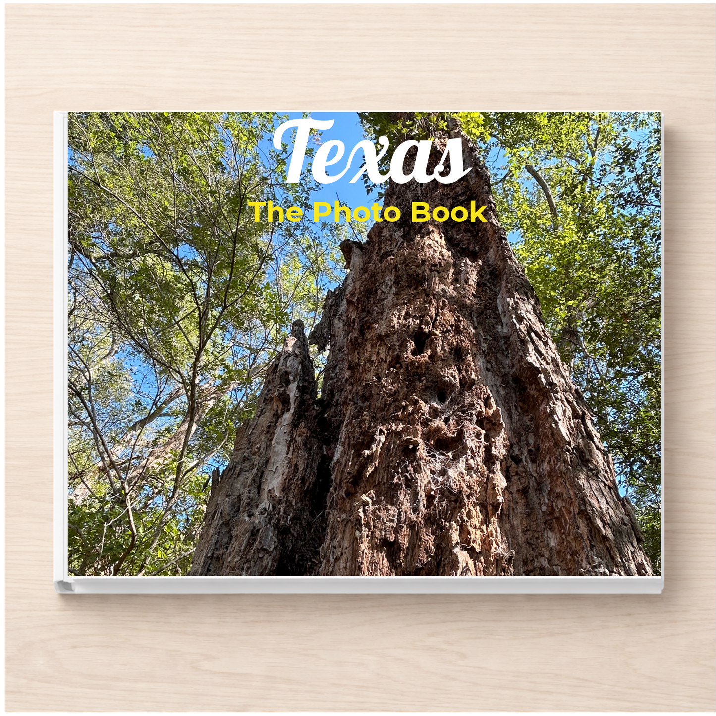 Texas: The Photo Book