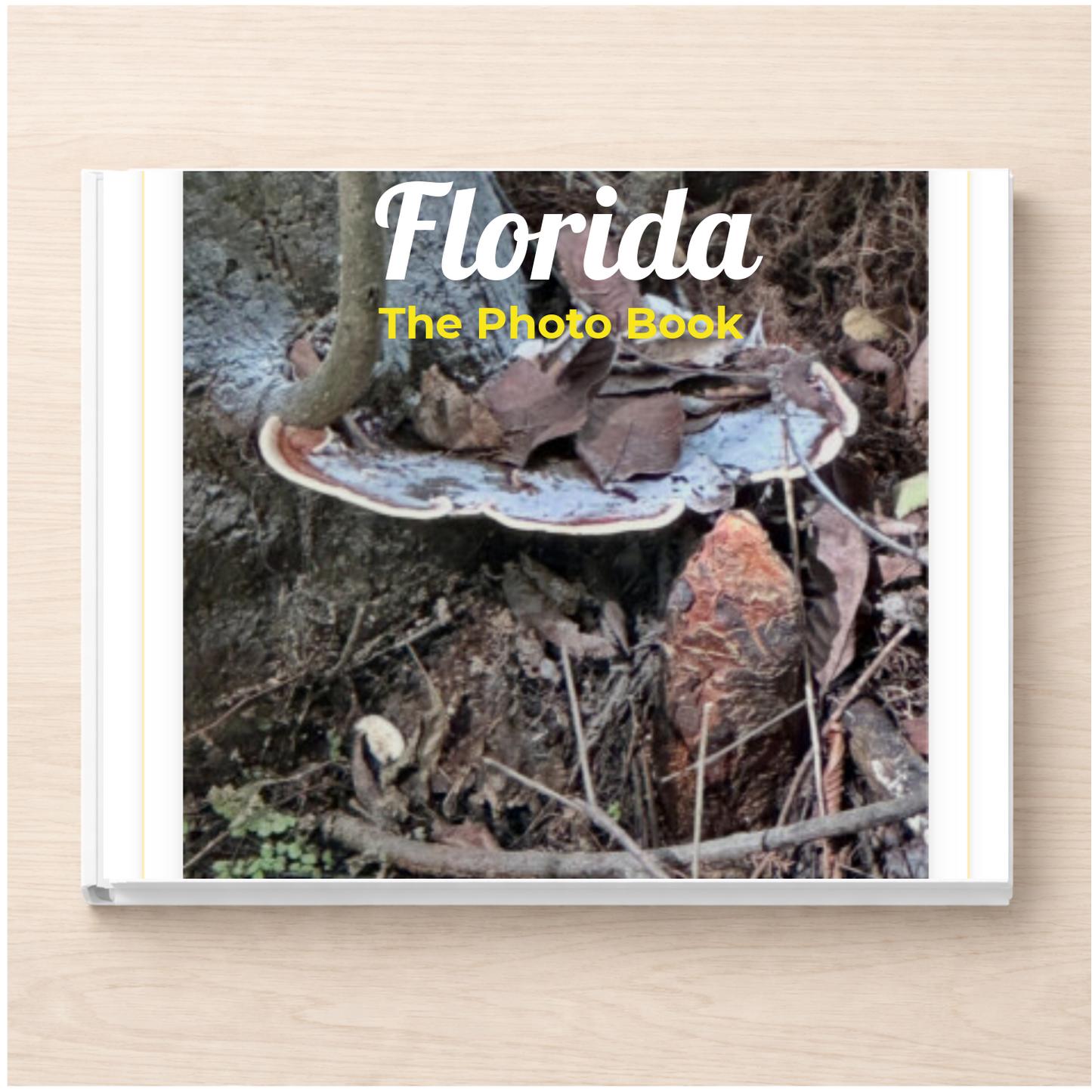 Florida: The Photo Book